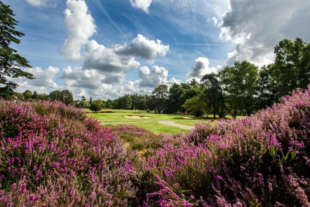Sunningdale - Old Course